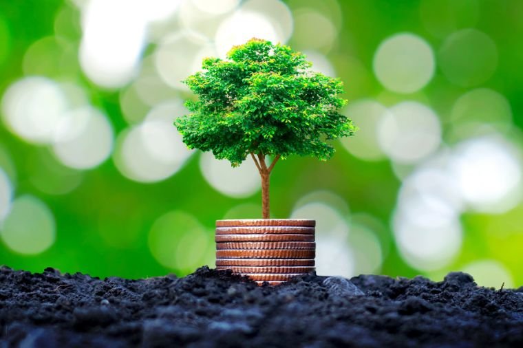 İklim Krizine Eko-Kapitalist Bir Bakış Açısı: Karşı Argümanlar